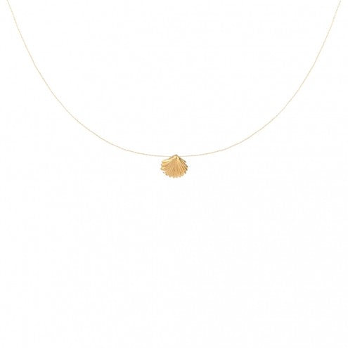 Shell - Luck